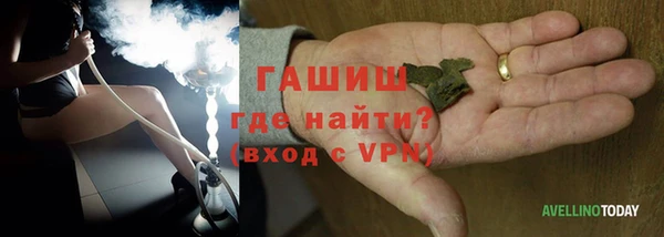 хмурый Чита