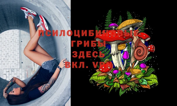 jwh Краснослободск