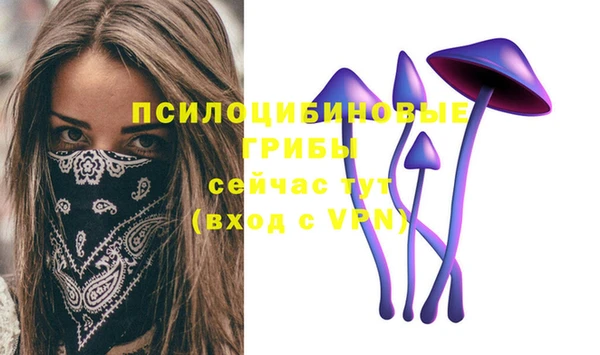 метадон Архангельск