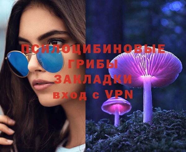 стаф Нижний Тагил