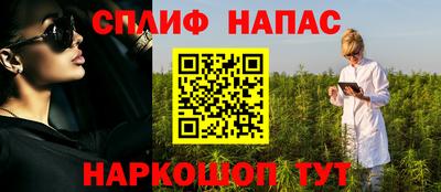 гидра Гатчина