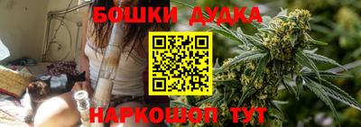 гидра Гатчина