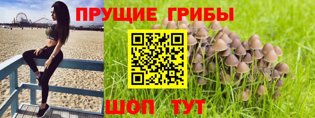 Галлюциногенные грибы Psilocybine cubensis  Псилоцибиновые грибы мицелий  Нижнекамск  Вход с VPN 